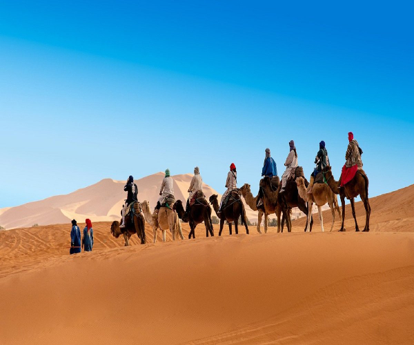 morocco camel trekking