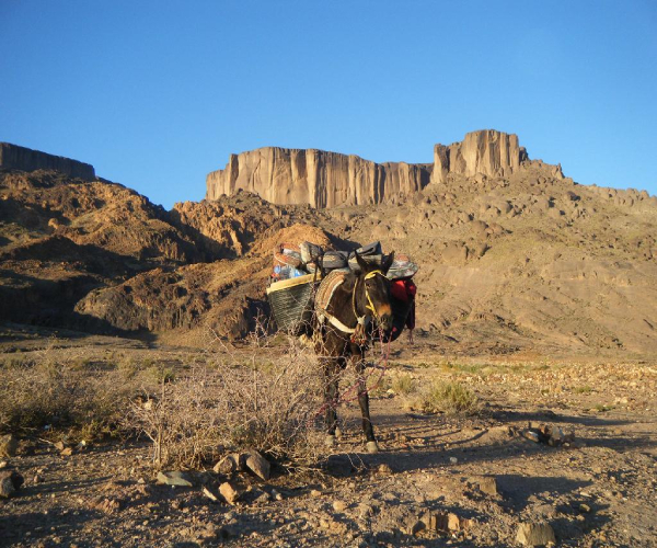 trek toubkal morocco