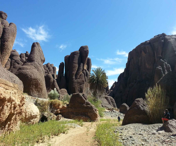 trek toubkal morocco