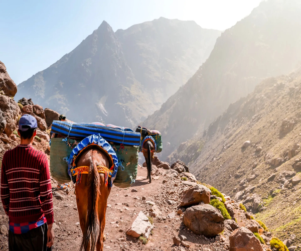 trek toubkal morocco